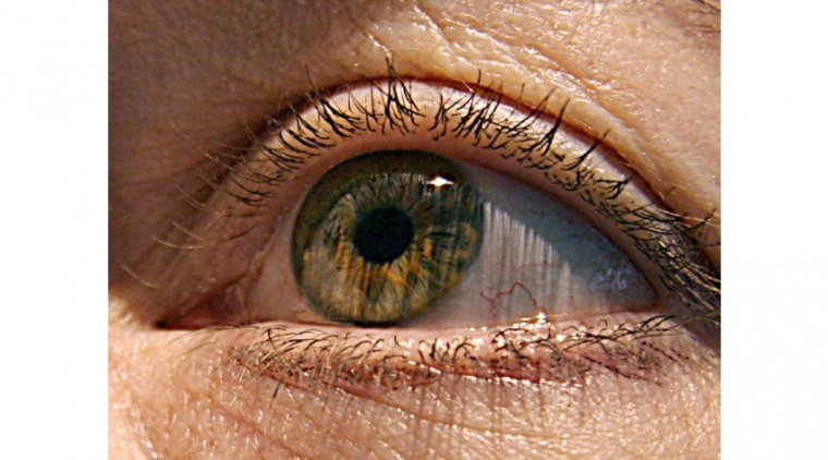 5 Surprising Ways Your Eye Health Affects Your Overall Health 