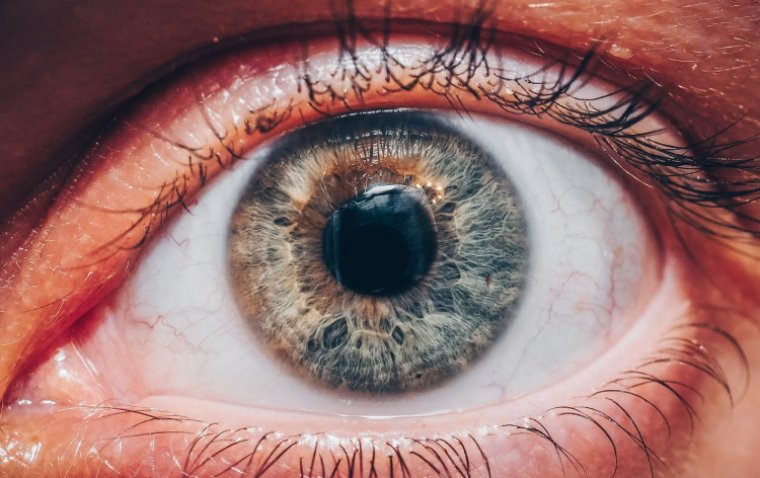 Breakthrough in Ophthalmology: Study Reveals the Dynamic Structure of the Human Eye
