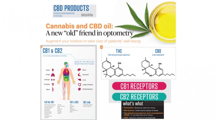Cannabis - CBD Oil & Ophthalmology 
