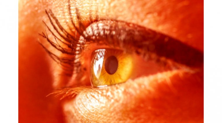 Daily Exposure to Deep Red Light Can Significantly Improve  Fading Eyesight 
