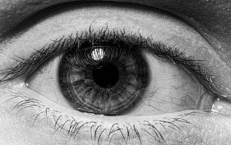 Discovery of Natural Molecules Offers Promise for Early Glaucoma Detection and Neuroprotection