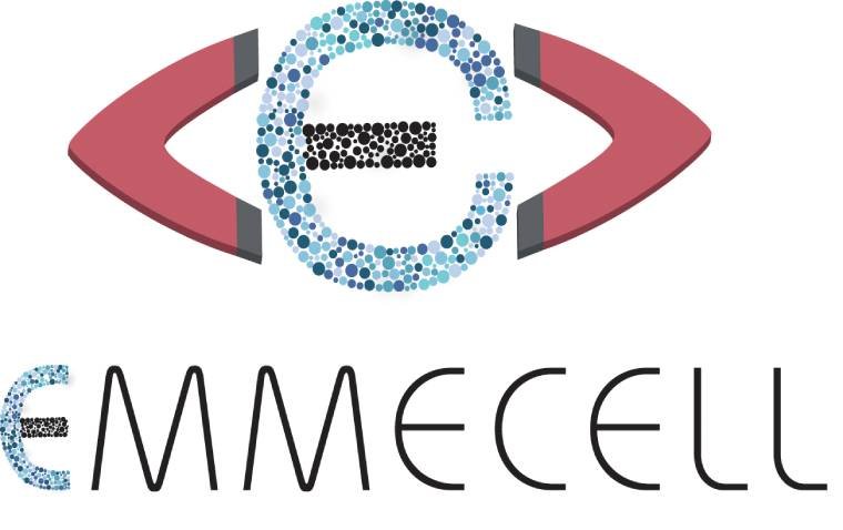 Emmecell Advances Non-Surgical Cell Therapy for Corneal Edema