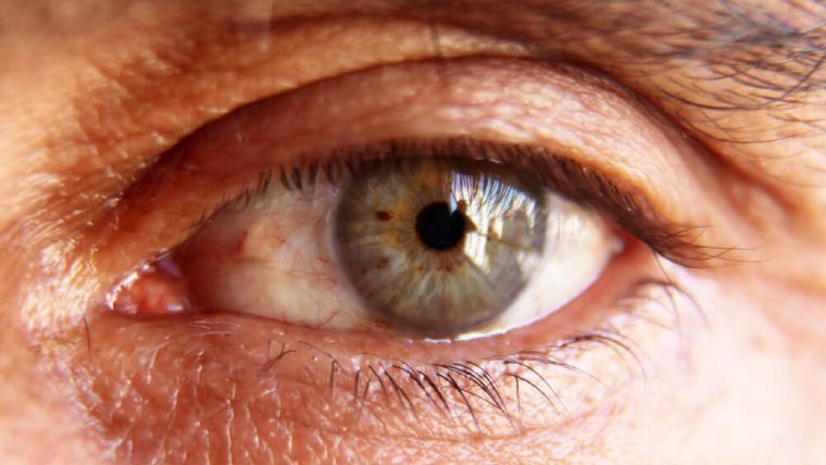 Experimental Drug Found Effective in Preventing Diabetic Eye Disease