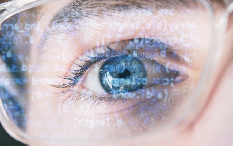 Eye-Tracking Study Reveals Retinal Mechanisms Behind Visual Stability