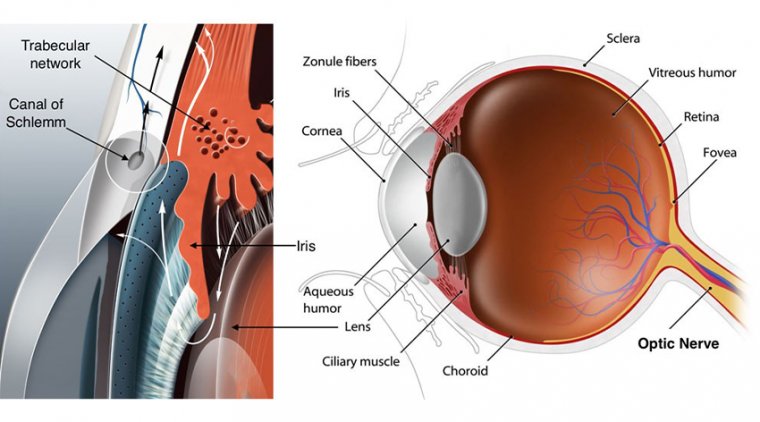 Glaucoma Filtration On Cataract Surgery