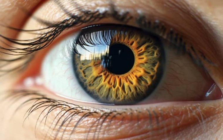 High-Resolution Retinal Maps Advance Disease Diagnosis