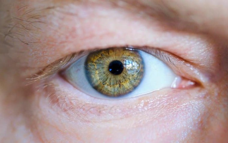 Researchers Introduce Novel Imaging Method for Early Diagnosis of Eye Diseases