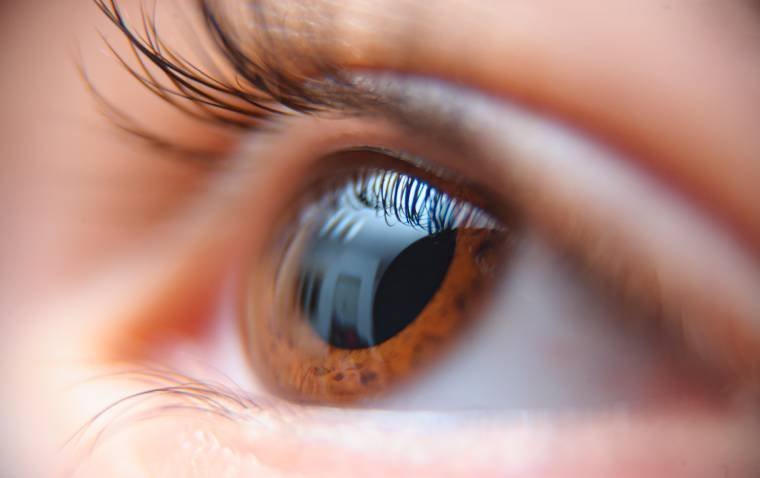 Landmark Genetic Study Reveals How the Fovea Develops to Enable Sharp Central Vision