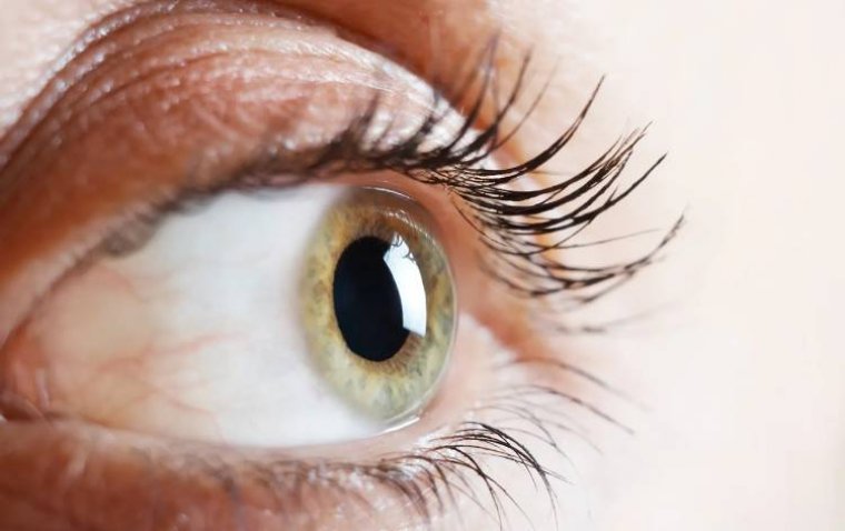 New Dual-Modality Imaging System Offers High-Resolution Retinal Oxygen Mapping