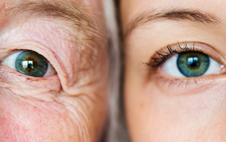 New Research Uncovers Link Between Gut Bacteria and Inherited Eye Diseases