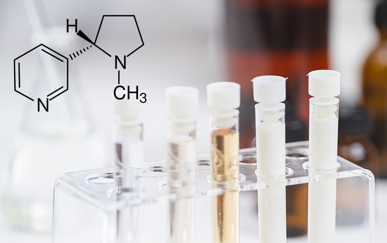 Nicotine's Potential in Myopia Control: Animal Research Findings