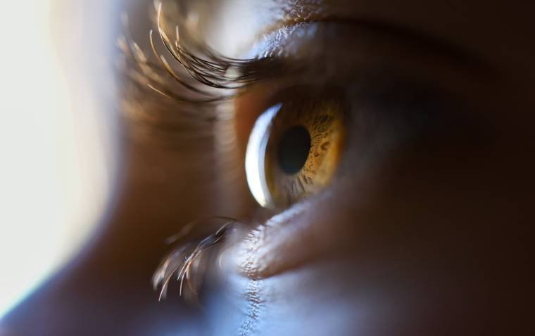 Postoperative Pilocarpine Use After KDB Goniotomy May Reduce Long-Term Glaucoma Medication Needs