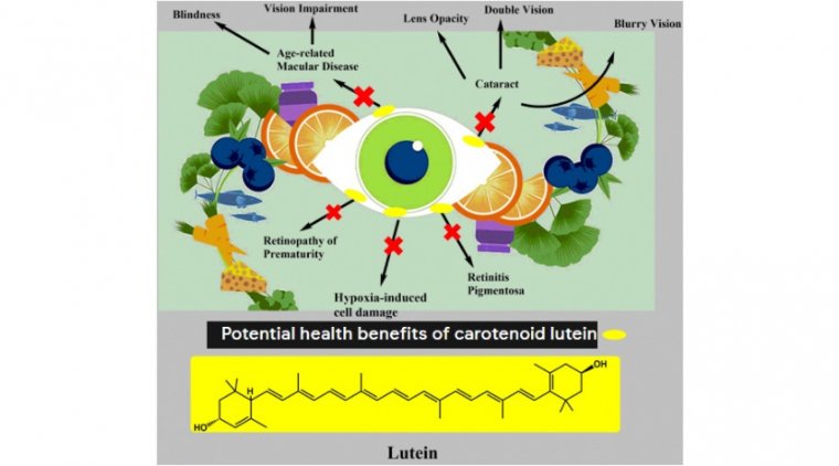 Potential Health Benefits of Carotenoid Lutein