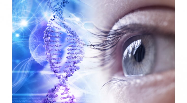 Scientists' Gene Therapy for Retinitis Pigmentosa Shows Promise in Early Testing