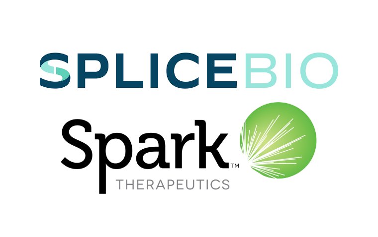 SpliceBio and Spark to Develop Gene Therapy for Inherited Retinal Disease