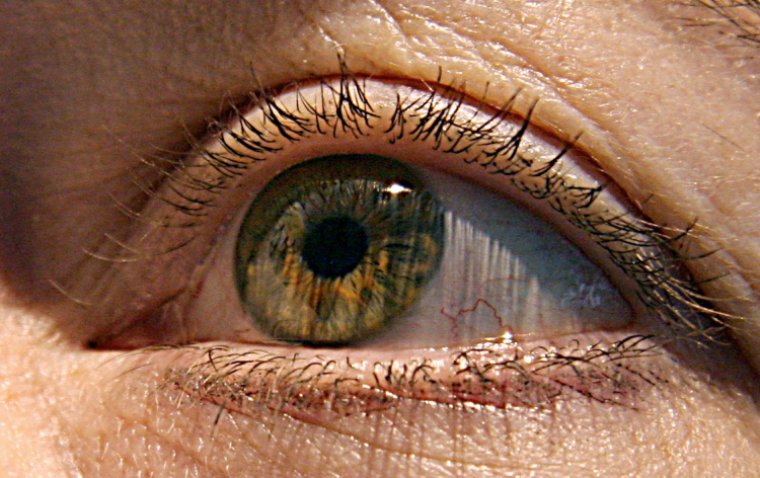 Stimulation of Melanopsin Cells Can Enhance Visual Acuity, Study Finds