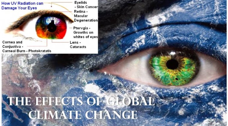 The Effects of Climate Change on Eye & Vision