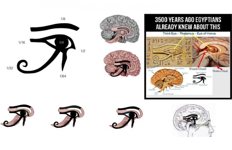 The Pineal Gland & The Eye Of Horus