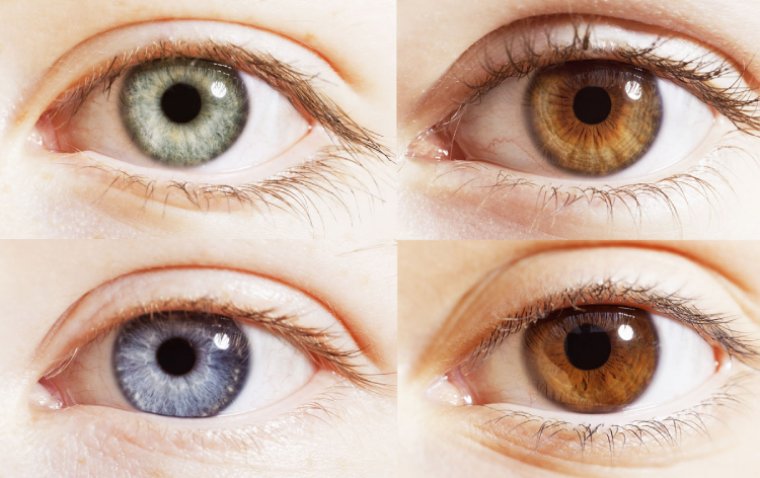 The Science of Eye Color: How It Determines More Than Just Your Looks