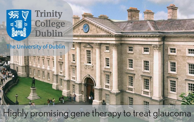 Trinity College Researchers Develop Promising Gene Therapy for Glaucoma and AMD