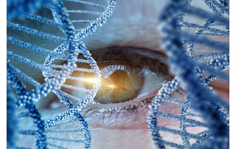 Top 12 Gene Therapies For Eye Diseases And Blindness | OBN